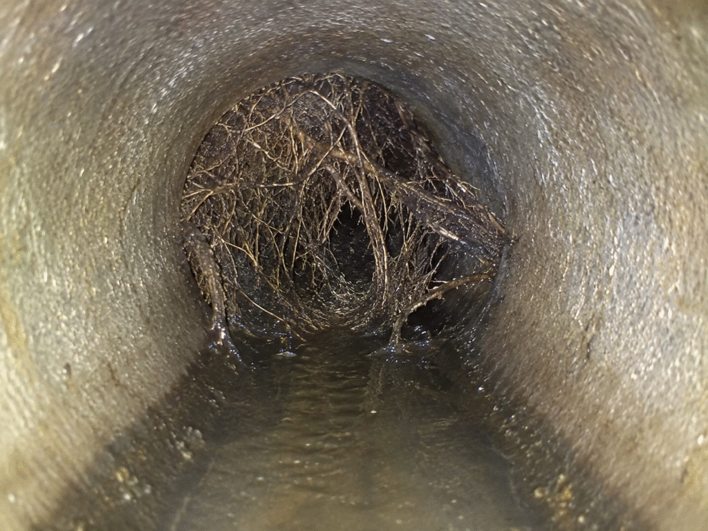 Inspection d’une canalisation bouchée ou d’un tuyau cassé par un professionnel Débouchage DAVID