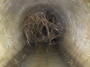 Inspection d’une canalisation bouchée ou d’un tuyau cassé par un professionnel Débouchage DAVID
