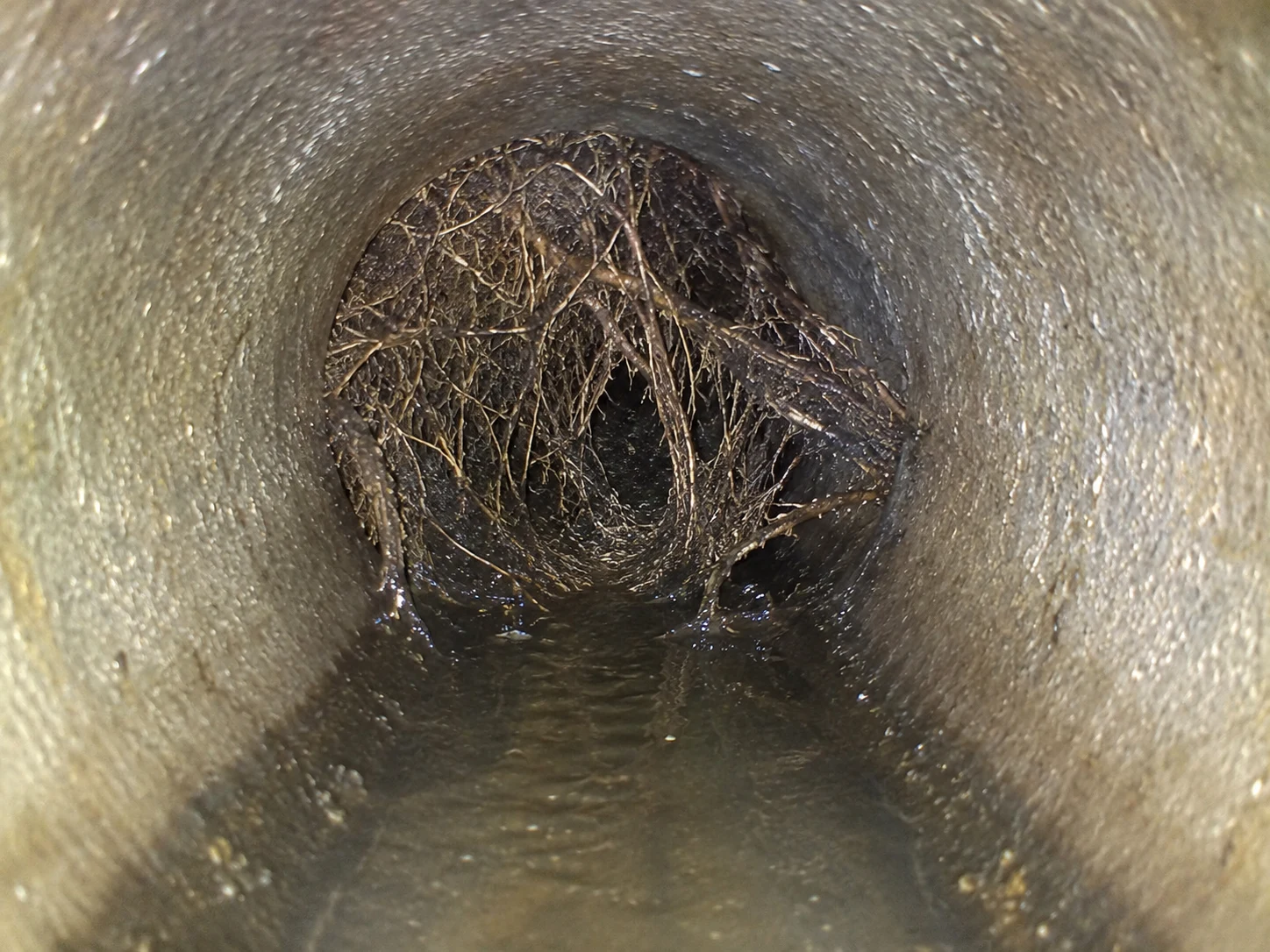 Inspection d’une canalisation bouchée ou d’un tuyau cassé par un professionnel Débouchage DAVID